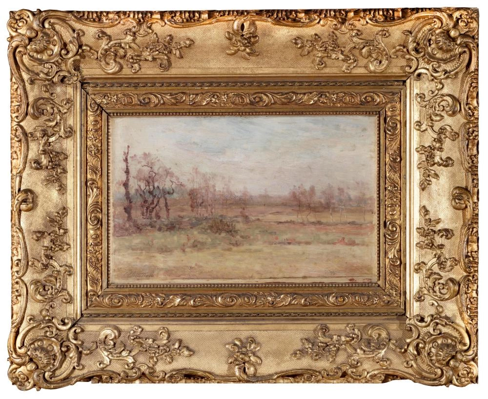Pianura con alberi lungo il torrente